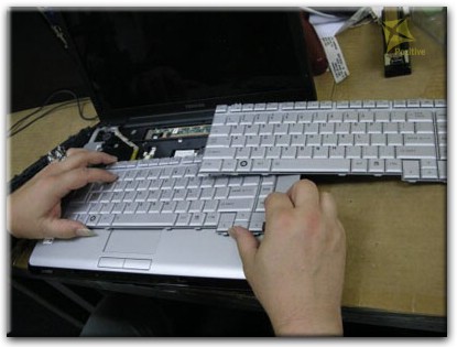 Ремонт клавиатуры на ноутбуке Toshiba в Долгопрудном